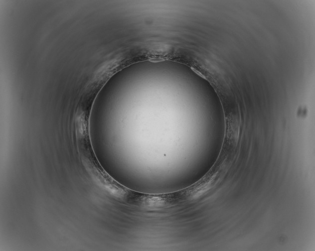 X0000090890287200707271338