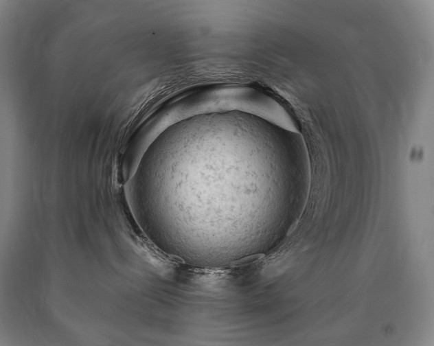 X0000090890288200707271338