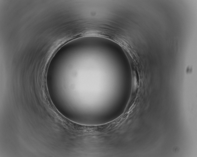 X0000090890289200707271338