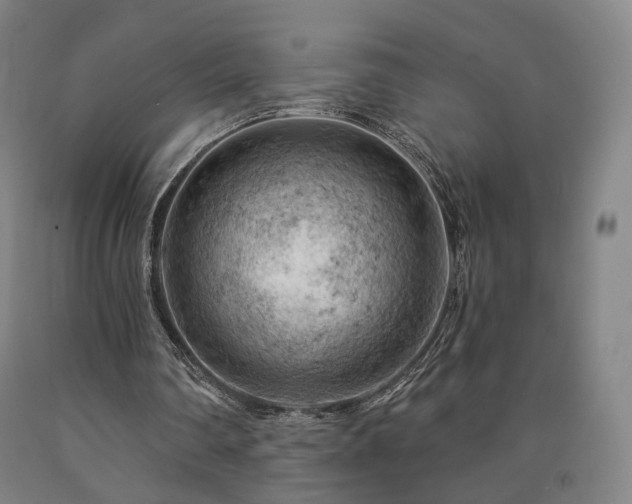 X0000090890290200707271338