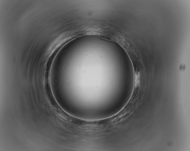 X0000090890291200707271338