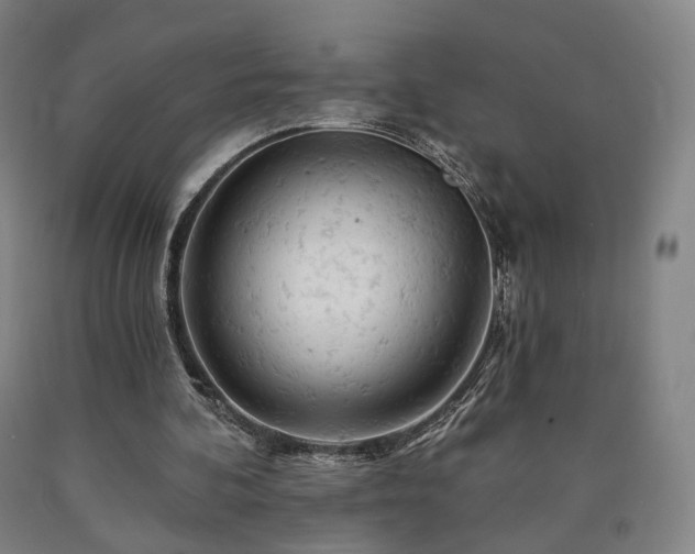 X0000090890292200707271337