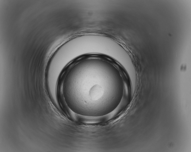 X0000090890293200707271337