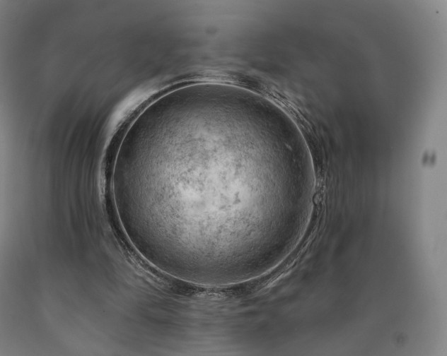 X0000090890294200707271337