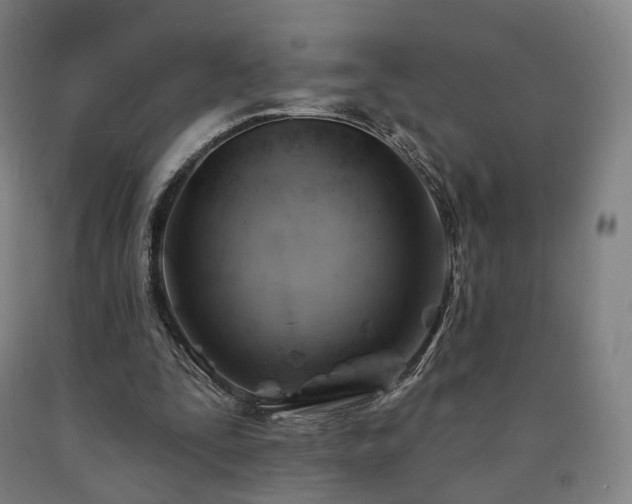 X0000090890295200707271337