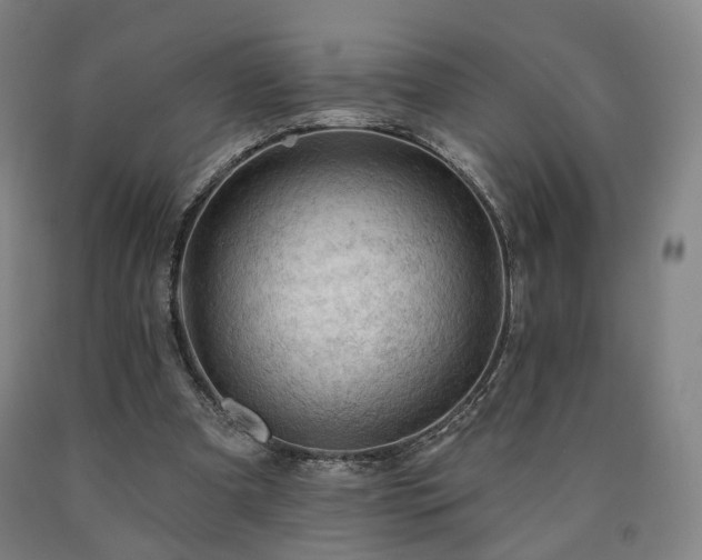 X0000090890297200707271337