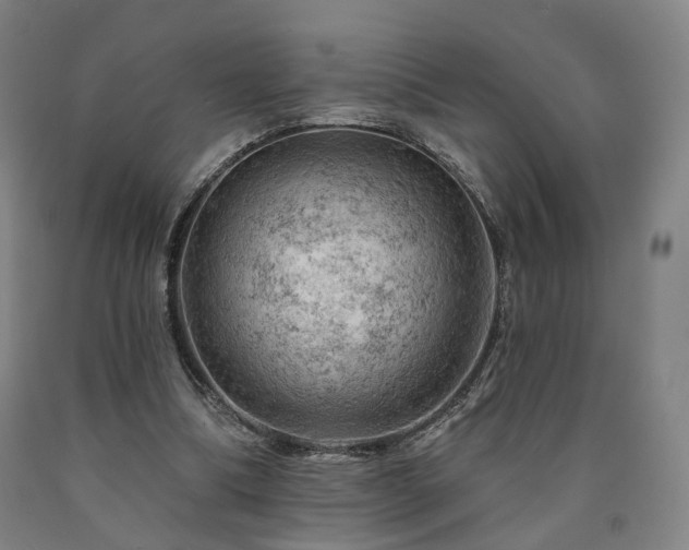 X0000090890298200707271337