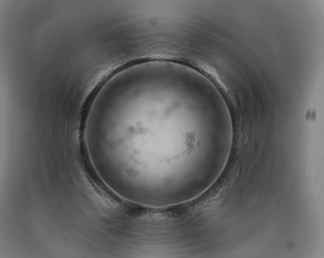 X0000090890299200707271337