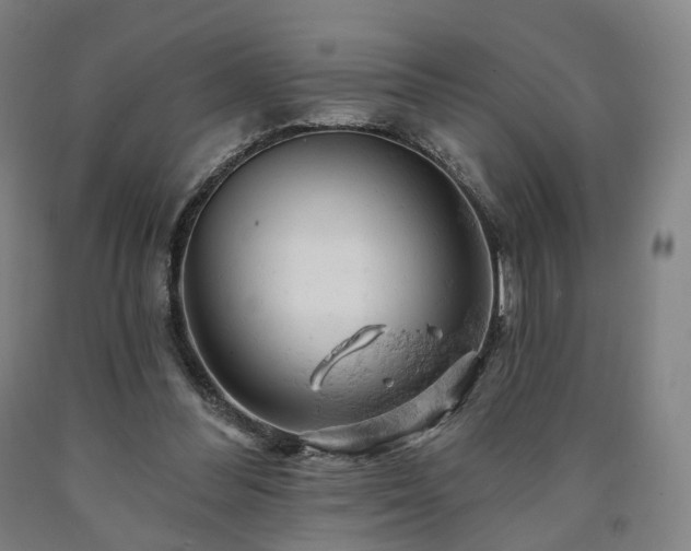 X0000090890300200707271337