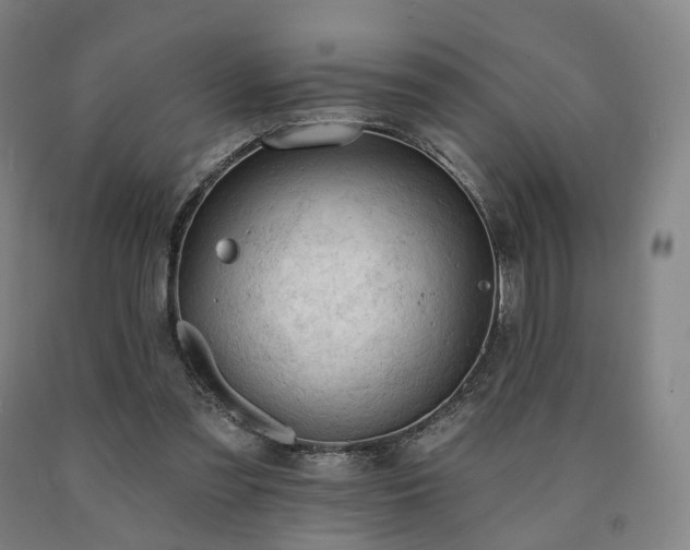 X0000090890301200707271337