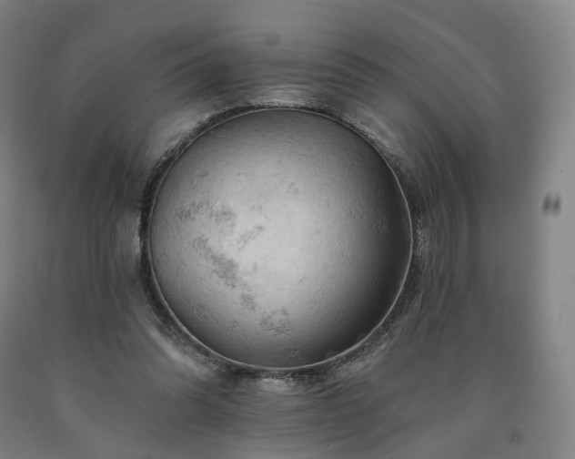 X0000090890302200707271337