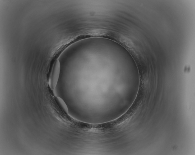 X0000090890303200707271337