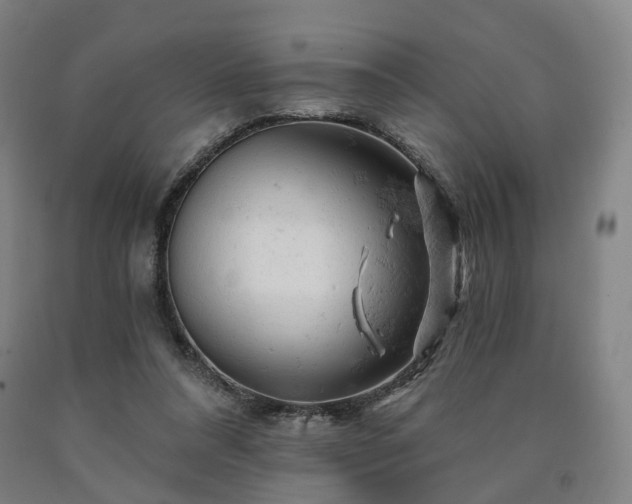 X0000090890304200707271337