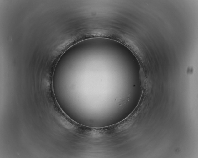 X0000090890305200707271337