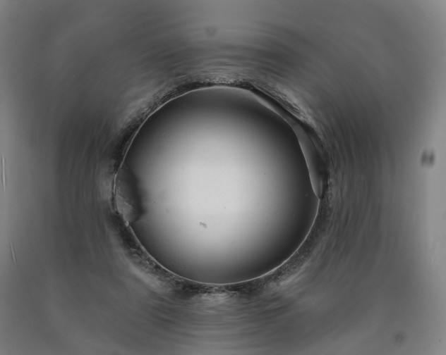 X0000090890307200707271337