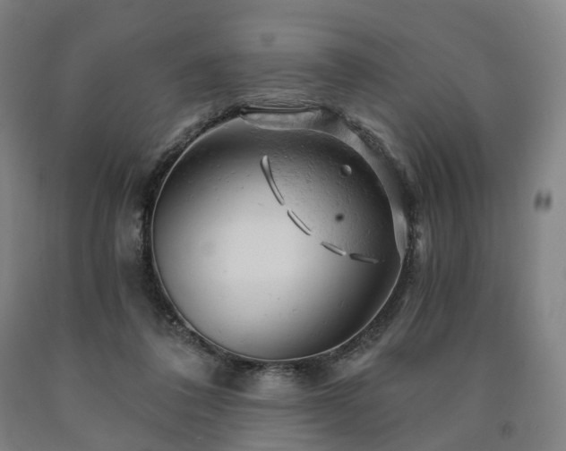 X0000090890308200707271337