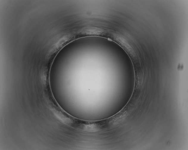 X0000090890309200707271337