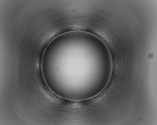 X0000090890310200707271337