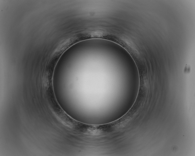 X0000090890311200707271337