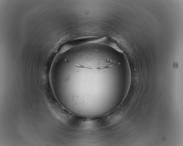 X0000090890312200707271337