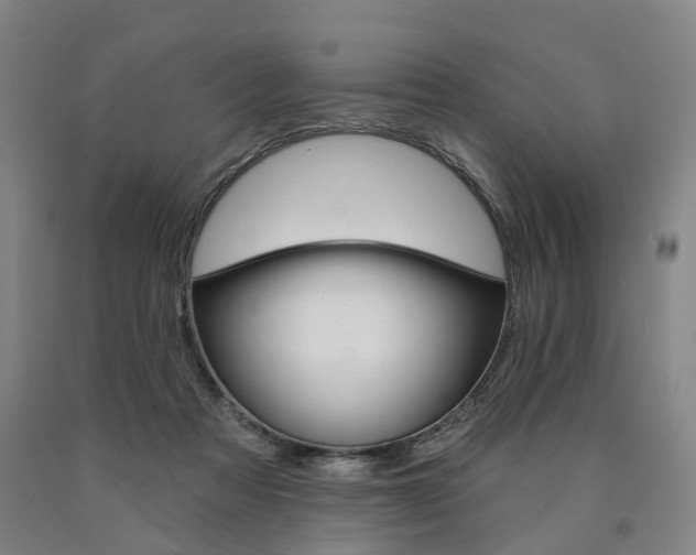 X0000090890313200707271337