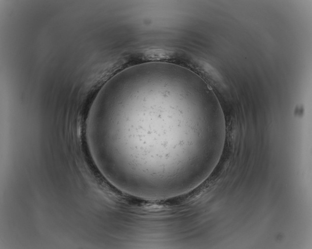 X0000090890315200707271337