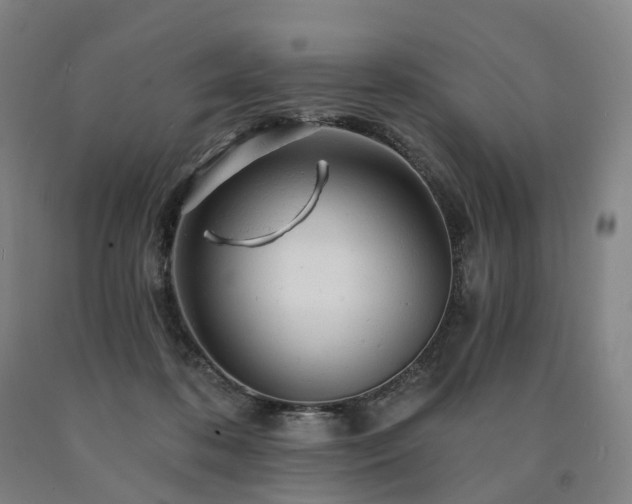 X0000090890316200707271337