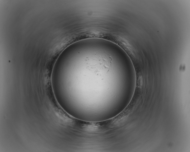 X0000090890318200707271337