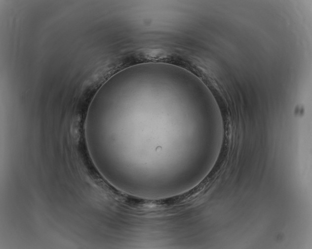 X0000090890319200707271337