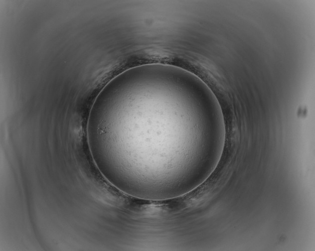 X0000090890320200707271337