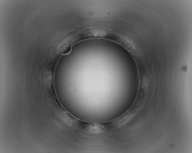 X0000090890321200707271337