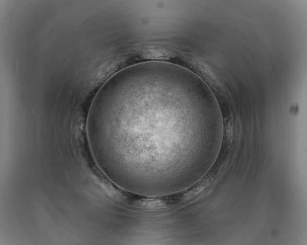 X0000090890322200707271337