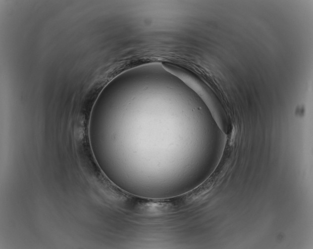 X0000090890323200707271337