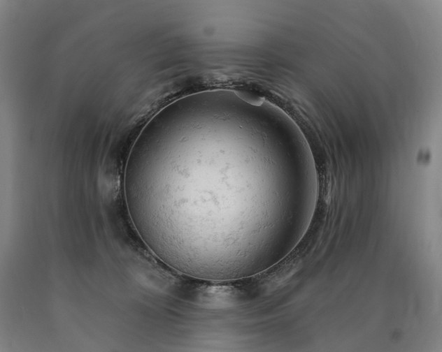 X0000090890324200707271337