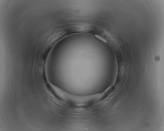 X0000090890325200707271337