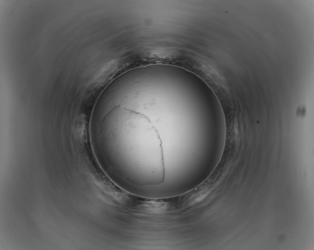 X0000090890328200707271337