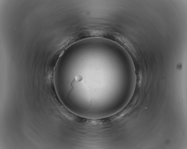 X0000090890329200707271337