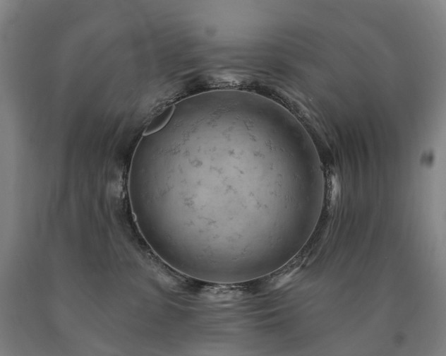 X0000090890331200707271337