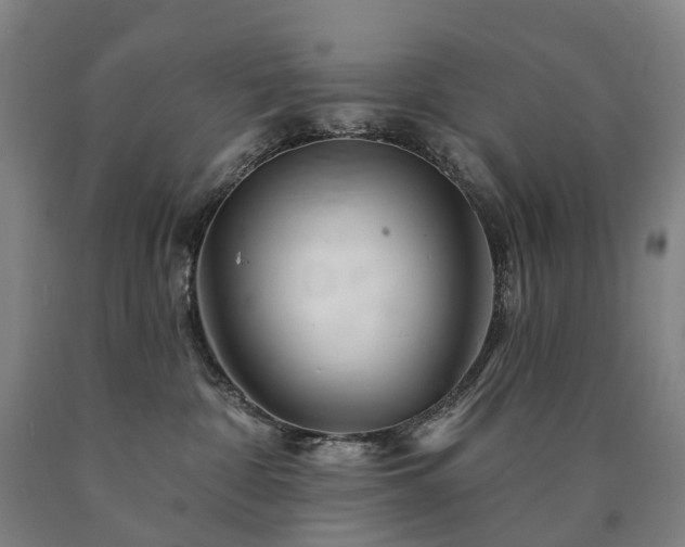 X0000090890332200707271337