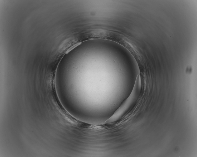 X0000090890333200707271337