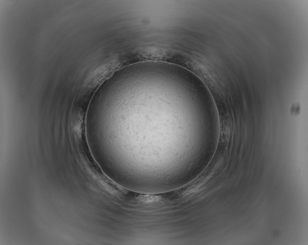 X0000090890334200707271337