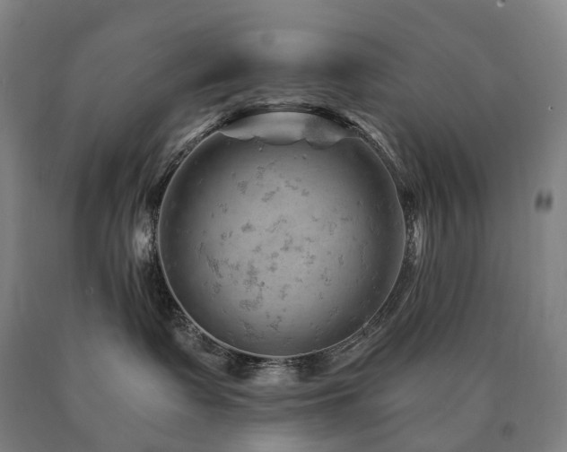 X0000090890335200707271337