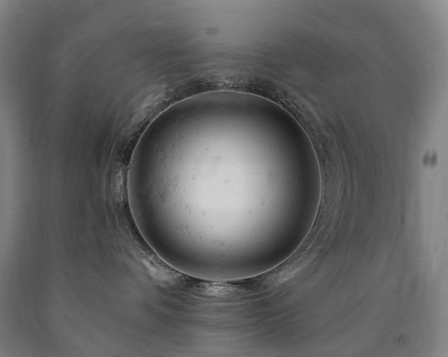 X0000090890336200707271337