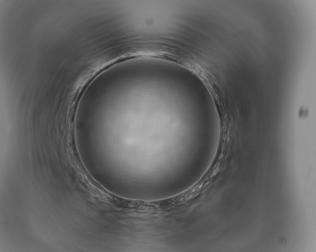 X0000090890337200707271336