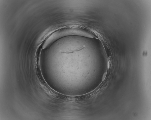 X0000090890339200707271336