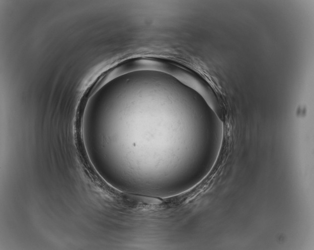 X0000090890340200707271336