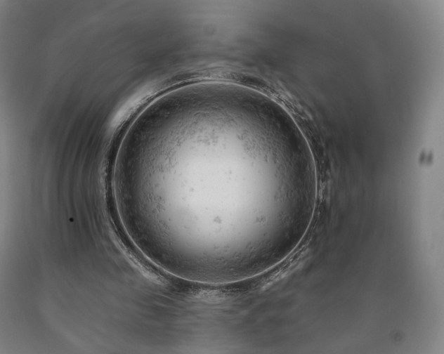 X0000090890341200707271336