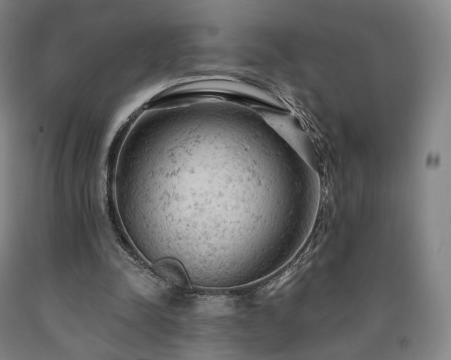 X0000090890342200707271336