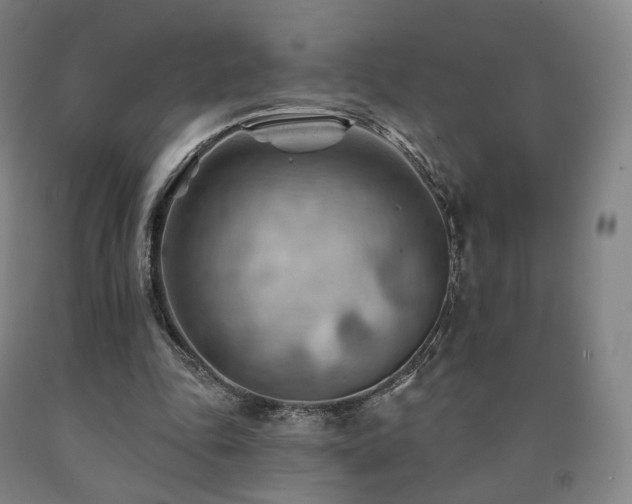 X0000090890343200707271336