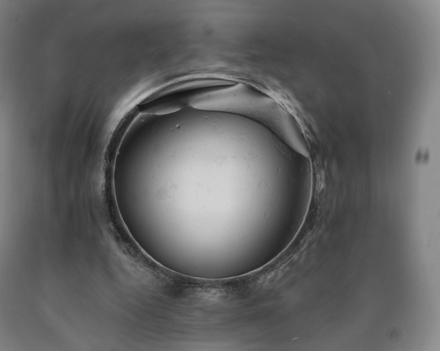 X0000090890344200707271336